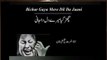 Bichar Gaya Mere Dil Da Jani - Nusrat Fateh Ali Khan - Song Status
