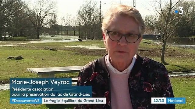 Loire-Atlantique : le lac de Grand-Lieu, un site préservé