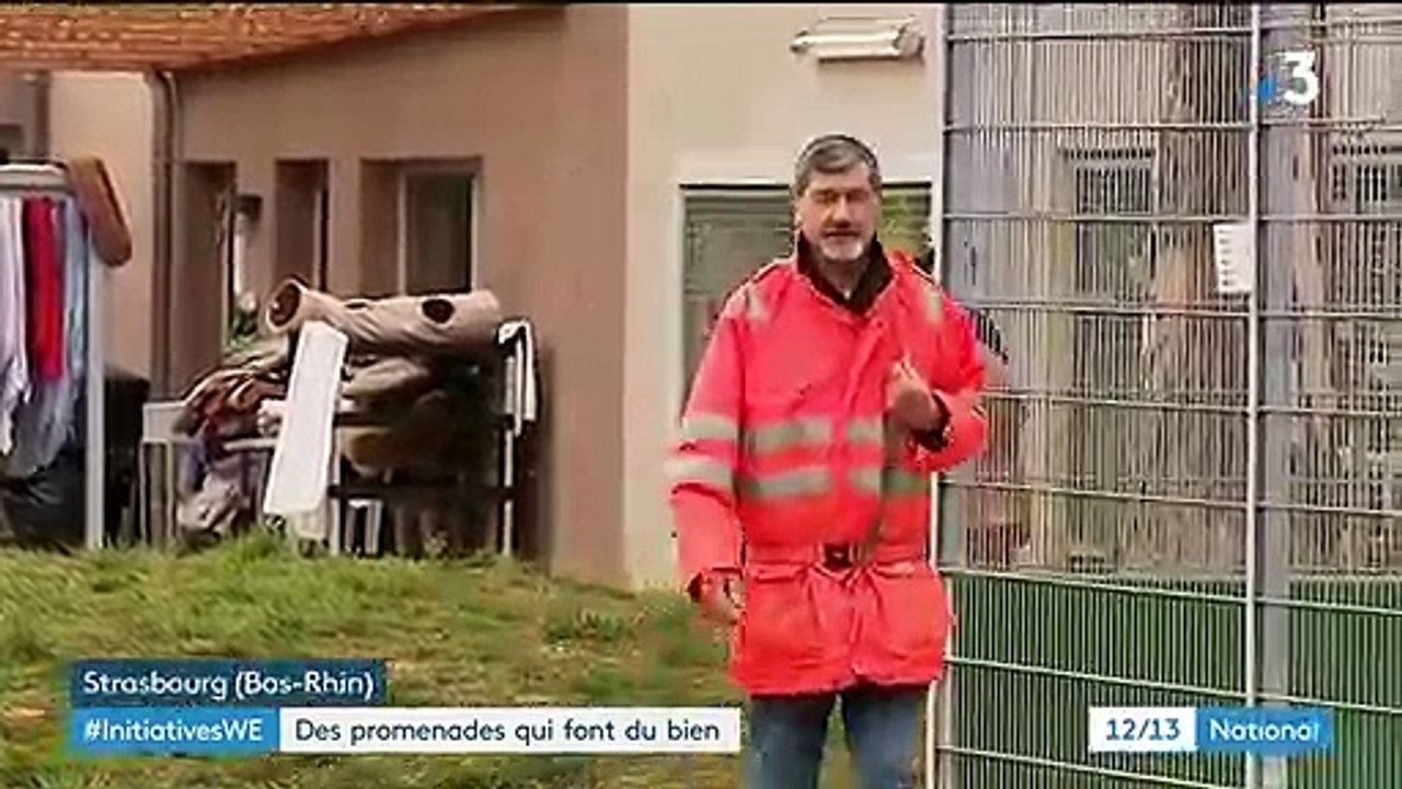 Strasbourg : des promenades pour les chiens de la SPA