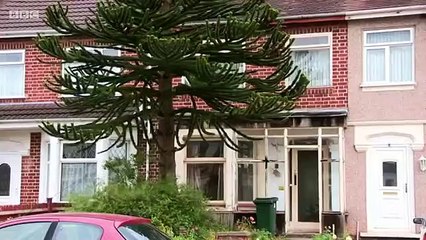 Heir Hunters UK S12E08