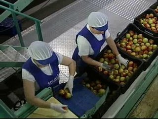 España no empezará a crecer hasta finales de 2010