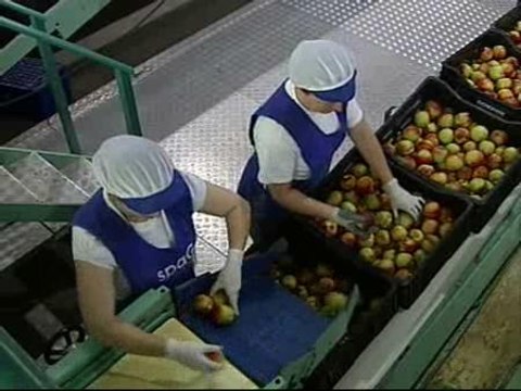 España no empezará a crecer hasta finales de 2010