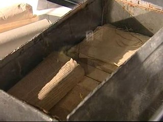 Hallada una cápsula del tiempo en Madrid