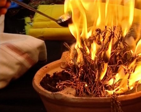 Los chamanes tienen una corazonada