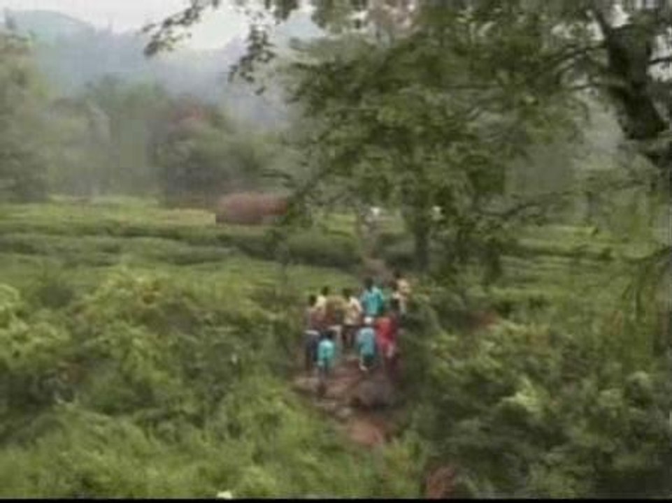 Estampida de elefantes