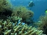 Oceanógrafos reunidos en la Fundación BBVA reclaman una normativa contra la biopiratería de recursos genéticos