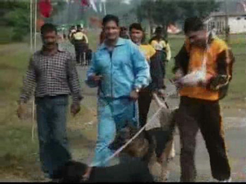 Competición canina en La India