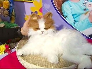 La tecnología revoluciona el mercado de los juguetes