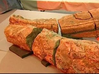 Aparecen los restos de un monstruo marino del Jurásico