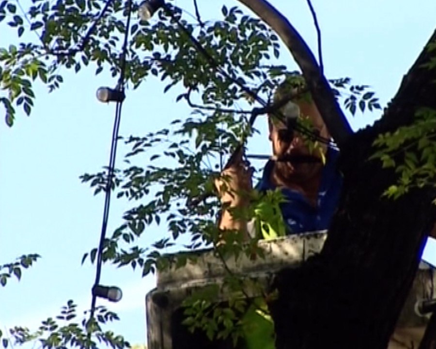 Sorprendidos por colocación de luces de Navidad