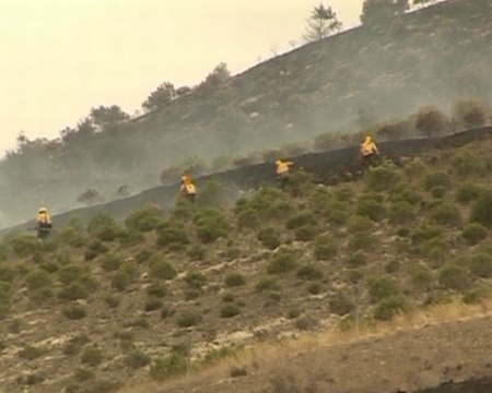 Bomberos luchan contra el fuego en Palencia