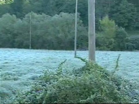 El otoño, por fin, llega a la península