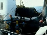 Garzón abre procedimiento contra los dos piratas somalíes