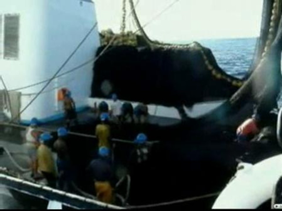 Garzón abre procedimiento contra los dos piratas somalíes