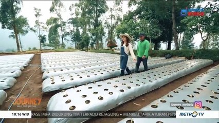 Yuk! Jelajah Wisata Alam Bandung (2)