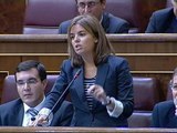 Sáenz de Santamaría acusa al Gobierno de 
