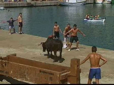 La localidad alicantina de Jávea celebra los Bous a la Mar