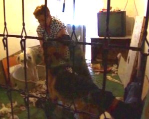 Vecina acusada de ruidos y  por el olor de los animales