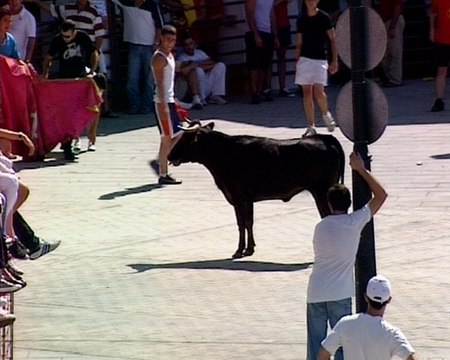 No habrá menores en los encierros