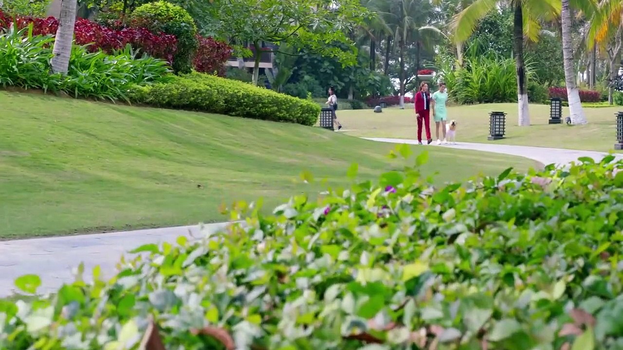 Hero Dog S02 EP27（Zhang Yunlong，Wang Yang）神犬小七第二季 27