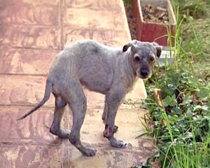 Ocho años encerrado sin luz ni ventilación