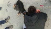 Sakarya Otomobilin Altında Kalan Köpeğinin Başında Ağladı