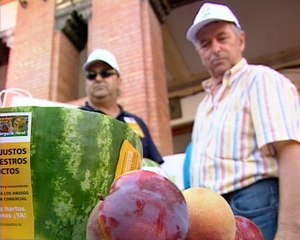 4000 kilos de fruta por precios justos