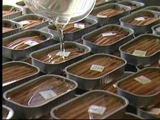 Las anchoas de Santoña, un exquisito placer del Cantábrico