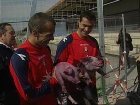 La plantilla del Osasuna recibe los 12 cochinillos por su victoria ante el Espanyol