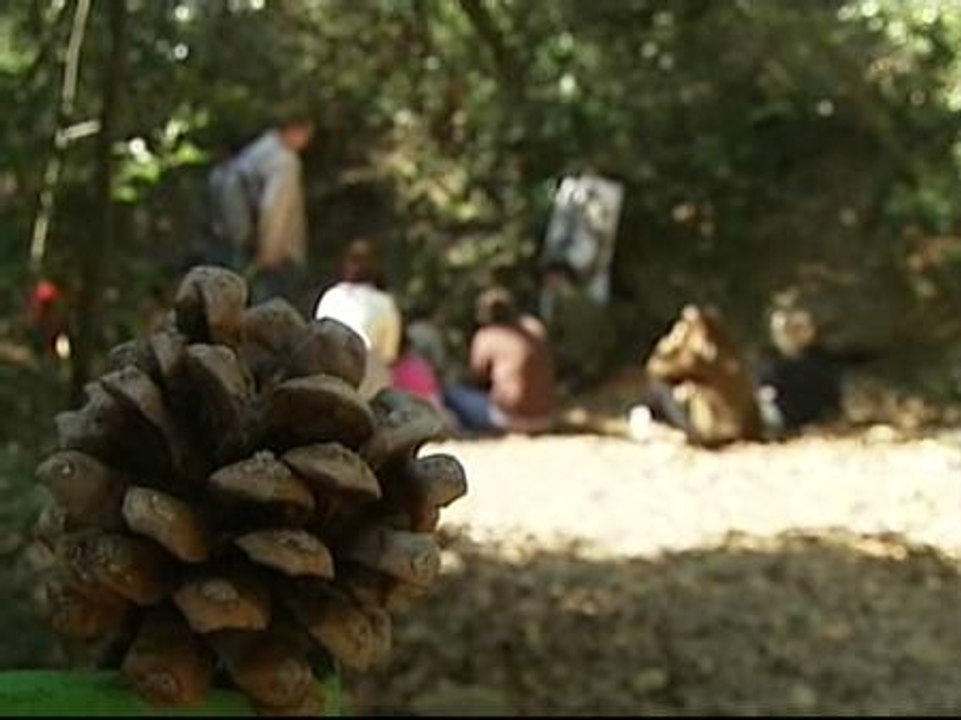 La primavera puede ser una gran lección