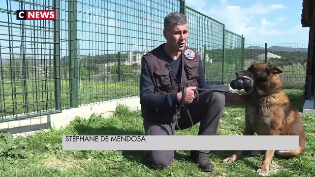 Un chenil pour les chiens retraités de la police