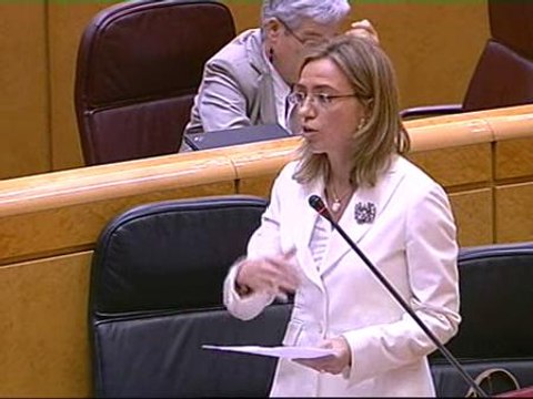 Chacón acusa al PP de intentar meter miedo con la Gripe A