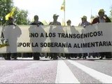 Manifestación contra los cultivos transgénicos en Zaragoza