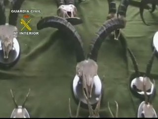 Cincuenta furtivos detenidos