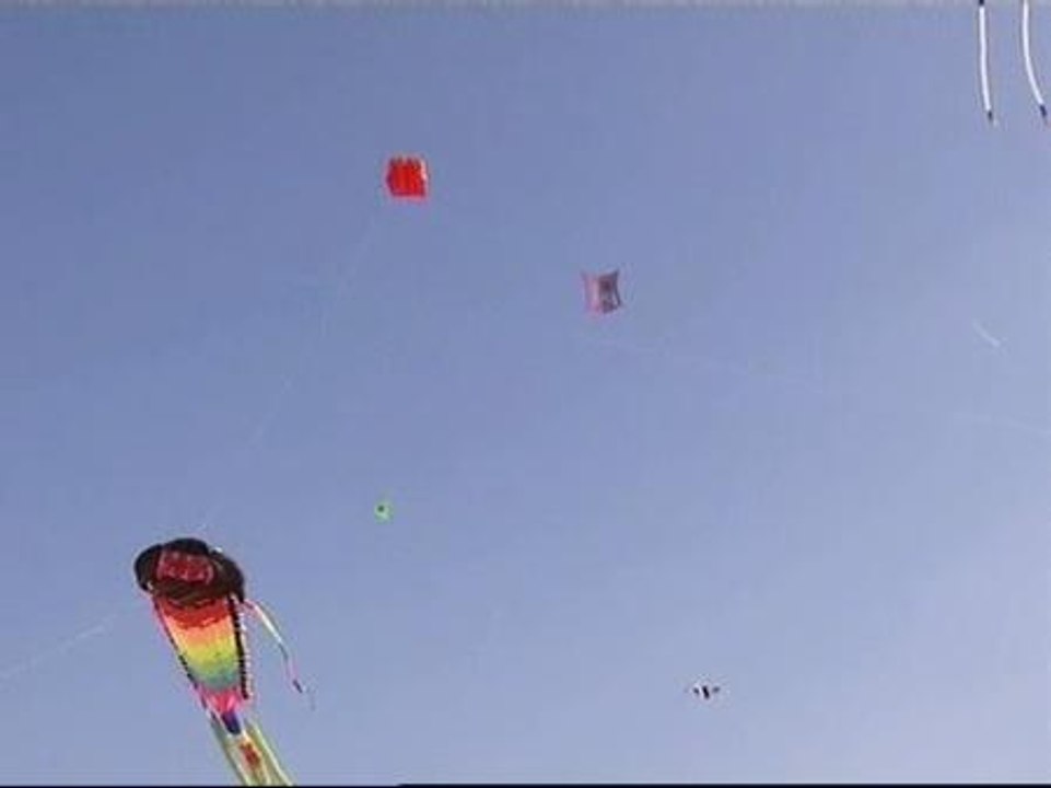 Cometas afganas en el cielo de la Haya