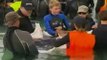 Ballenas trasladadas en grúa en Australia