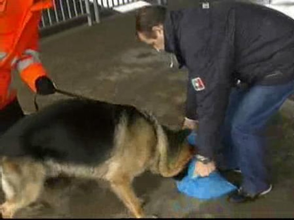 Continúa la búsqueda de la joven Marta del Castillo