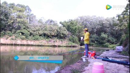 BIG CARP FISHING ON AT LAKE