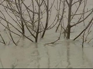 La crecida del Ebro continúa su camino hacia el Delta