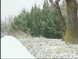 La nieve y el hielo alcanzan el sur del país