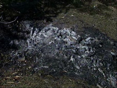 Al borde de la tragedia por culpa de los petardos