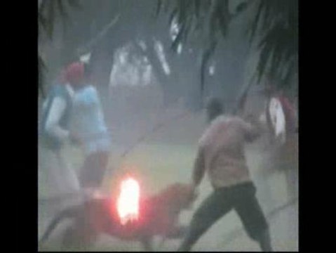 Una pantera ataca a nueve personas en la India