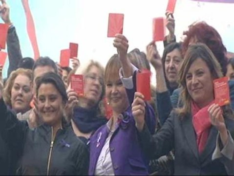 Pajín propondrá que los maltratadores pierdan la custodia de sus hijos