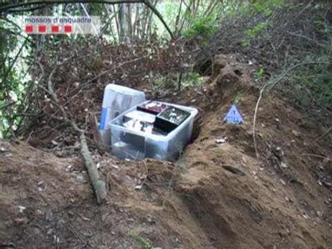 Ocho atracadores violentos detenidos