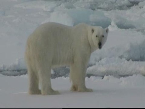 El sonido del camabio climático