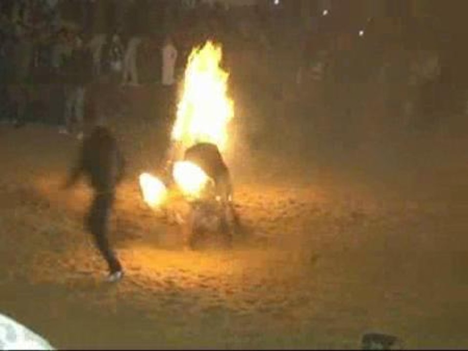 Los antitaurinos denuncian el "toro de fuego" de Medinaceli