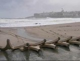 Múltiples destrozos por el temporal en A Coruña