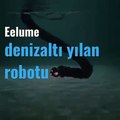 Eelume deniz altı yılan robotu