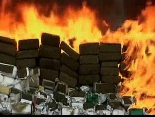 Tải video: Incineradas 134 toneladas de marihuana en México