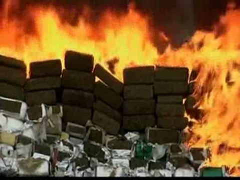 Incineradas 134 toneladas de marihuana en México